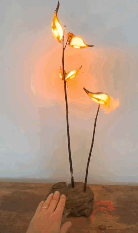 milkweed touchstone.gif