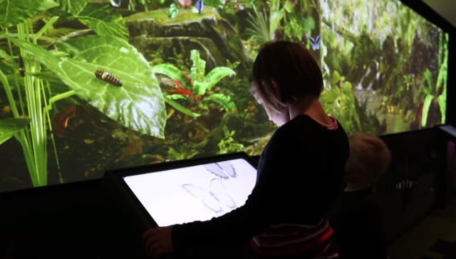 Creating the digital garden of "Secret World of Butterflies" - Auckland Museum