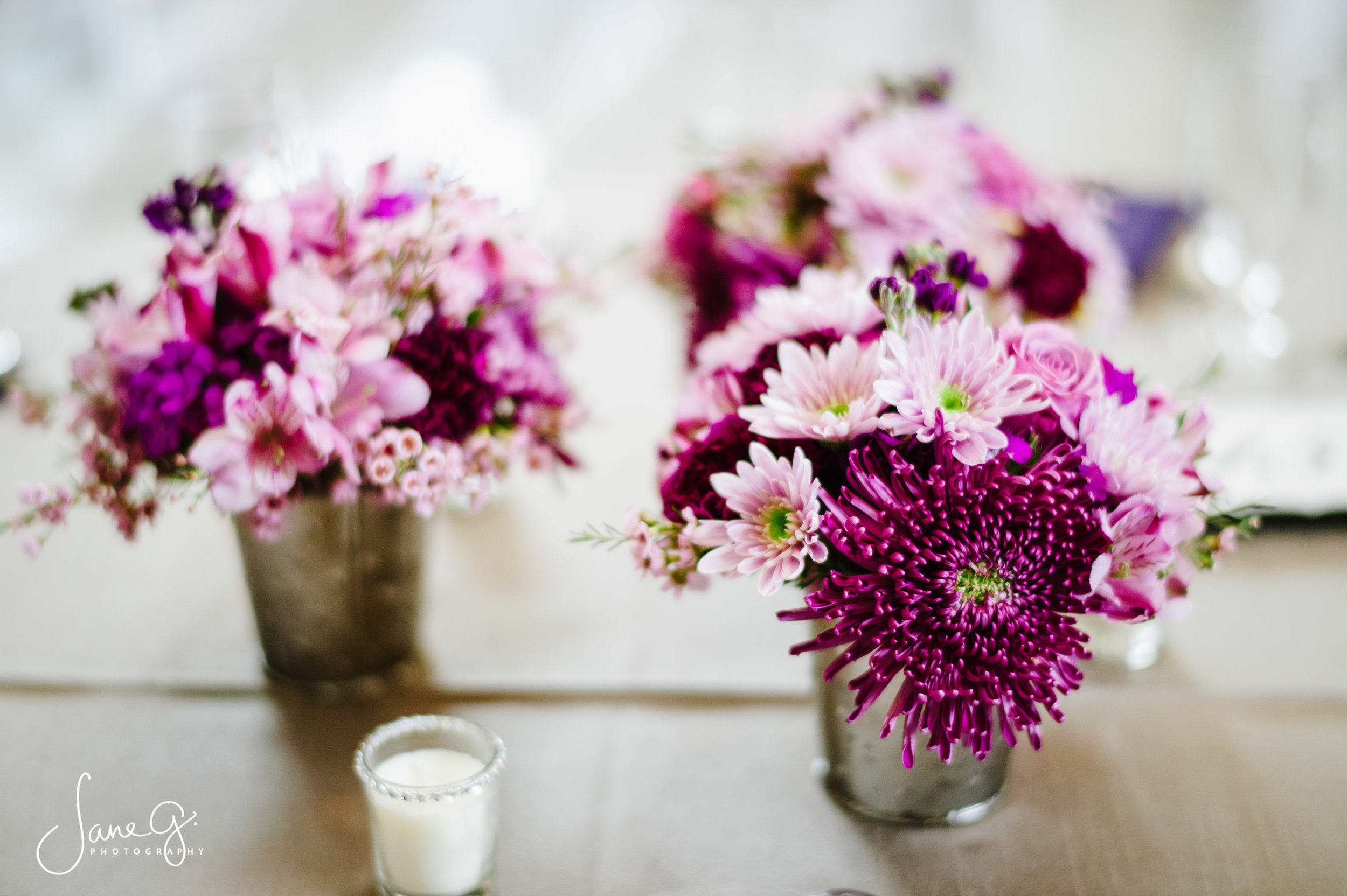 AllisonandJeremyWed_JaneGPhoto-406.jpg