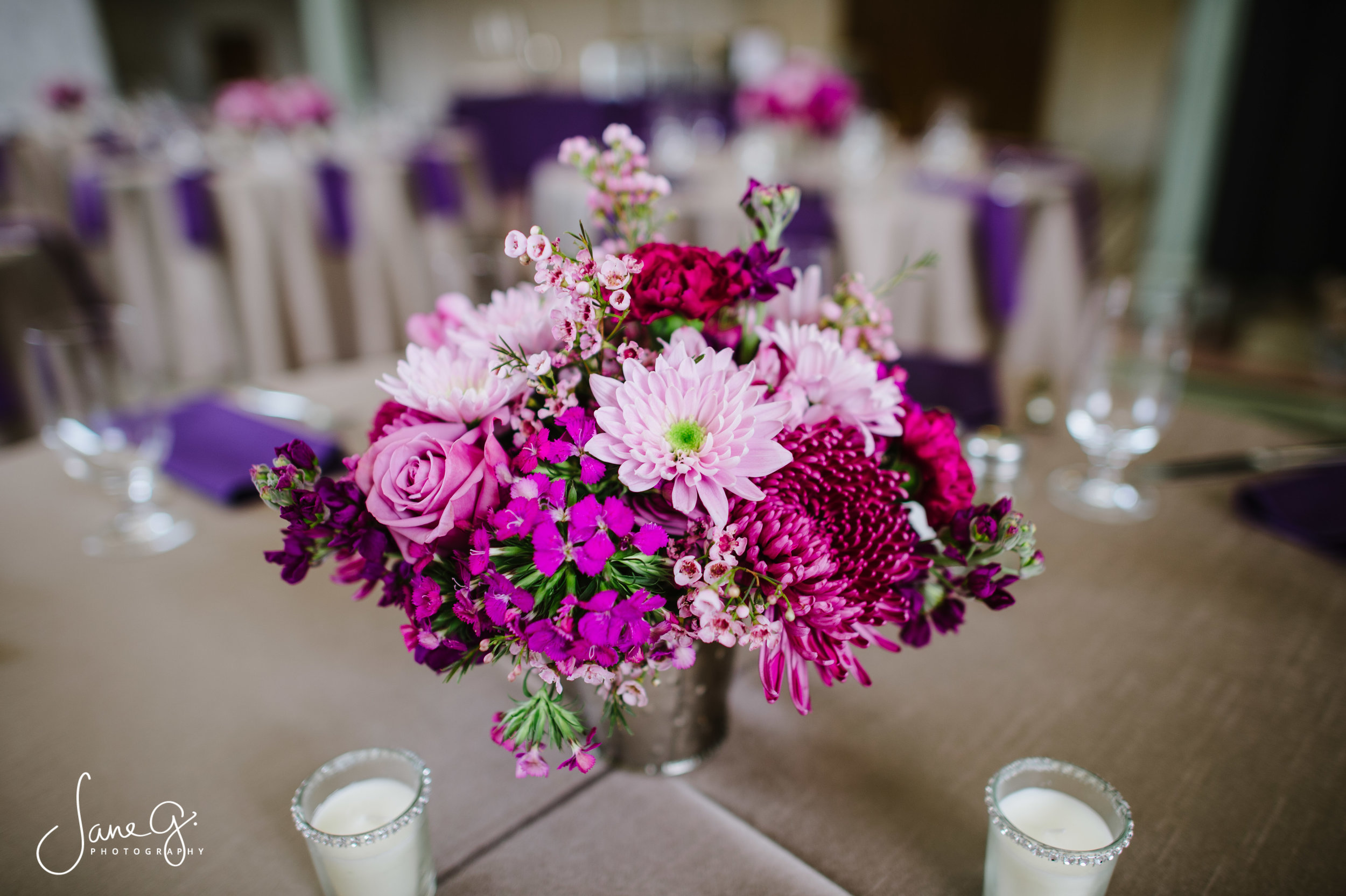 AllisonandJeremyWed_JaneGPhoto-407.jpg