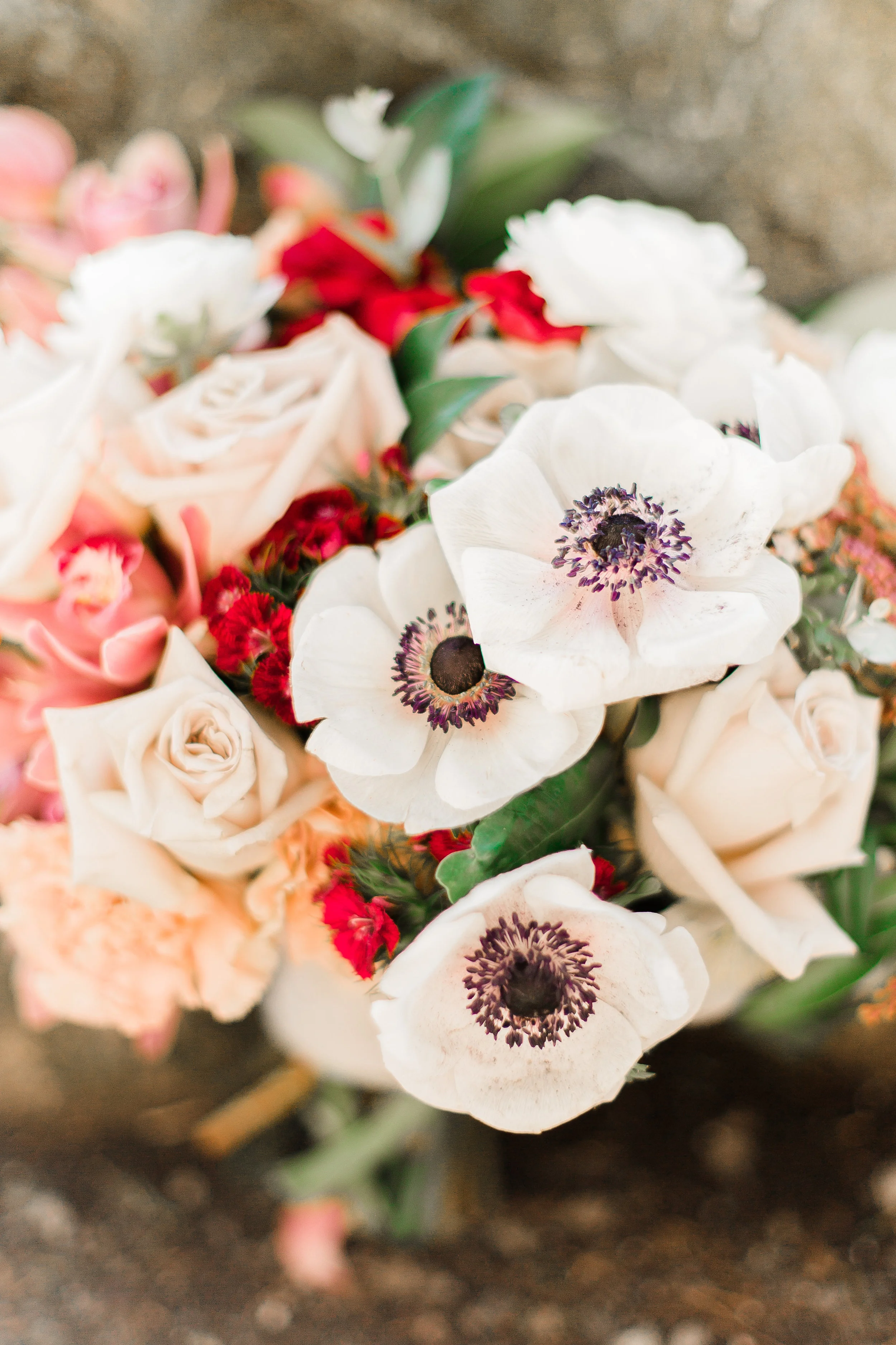 For the Blog-0019.jpg