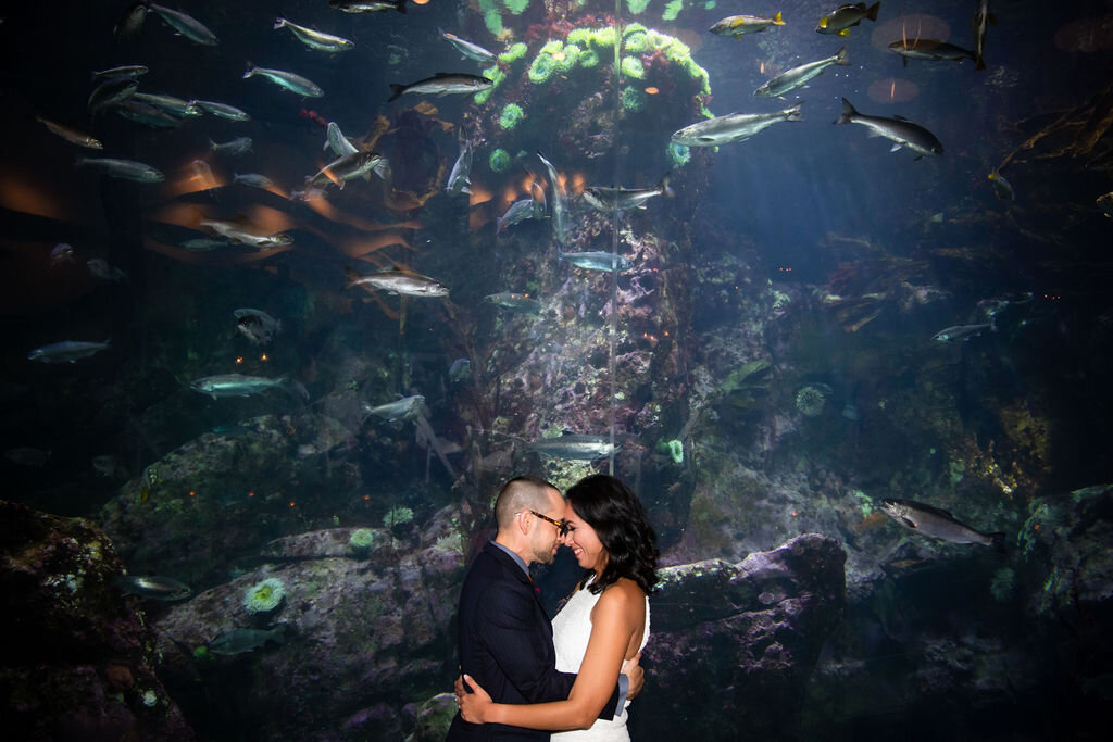 Seattle-Aquarium-Wedding-Photographer-772.jpg