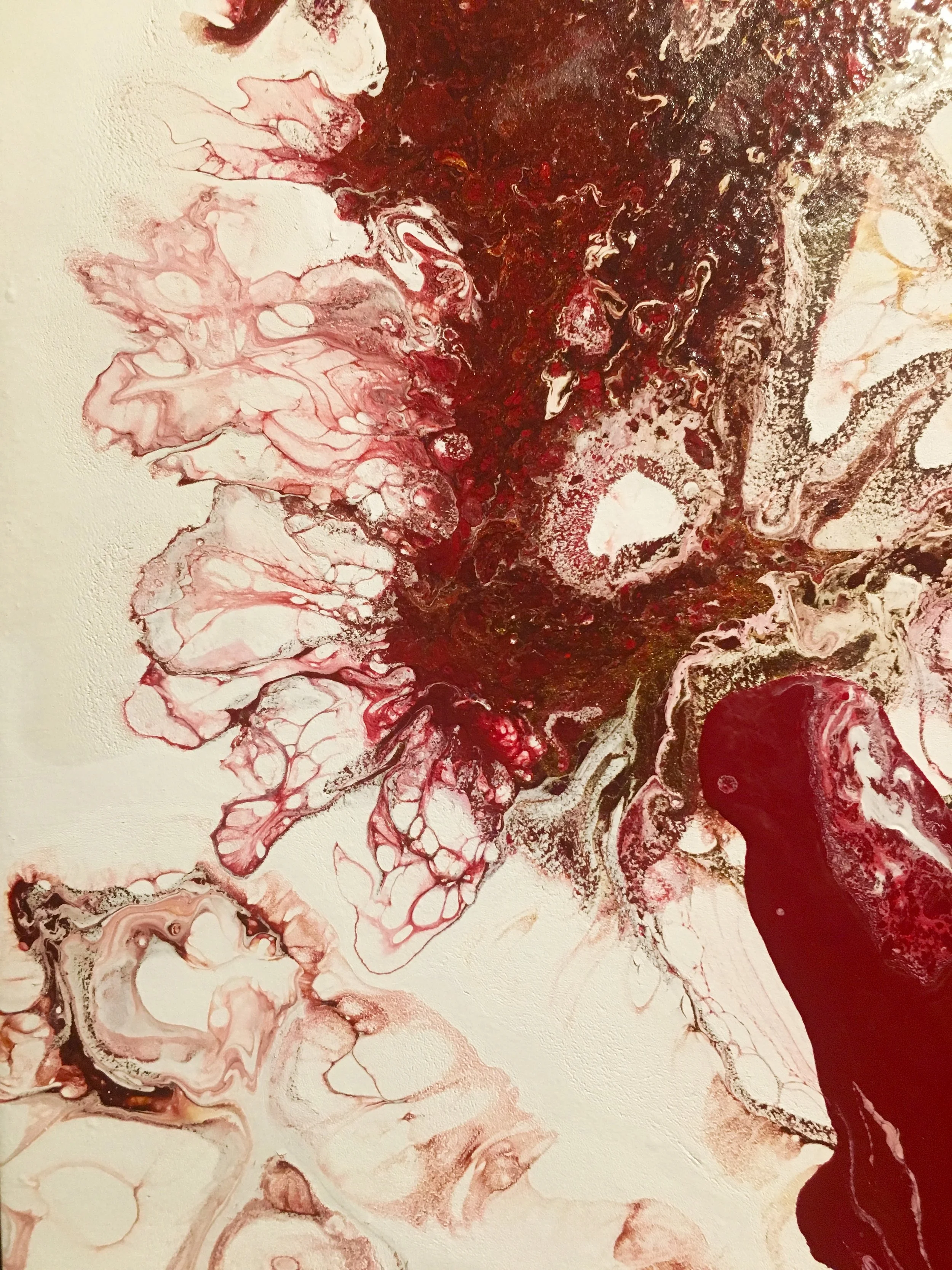 8C48652E-7842-4A0D-88C5-E0E104644F15.jpeg