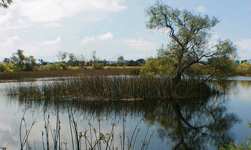 OTAY VALLEY REGIONAL PARK