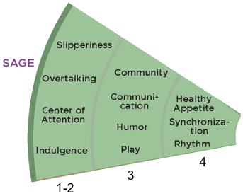 Sage Lesson Cutout.gif