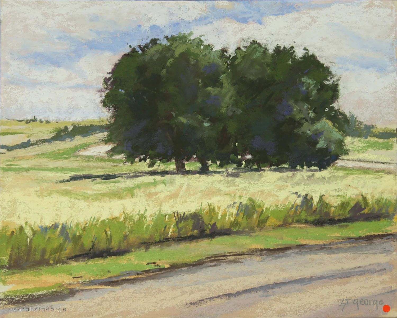 Summer Wheat - SOLD