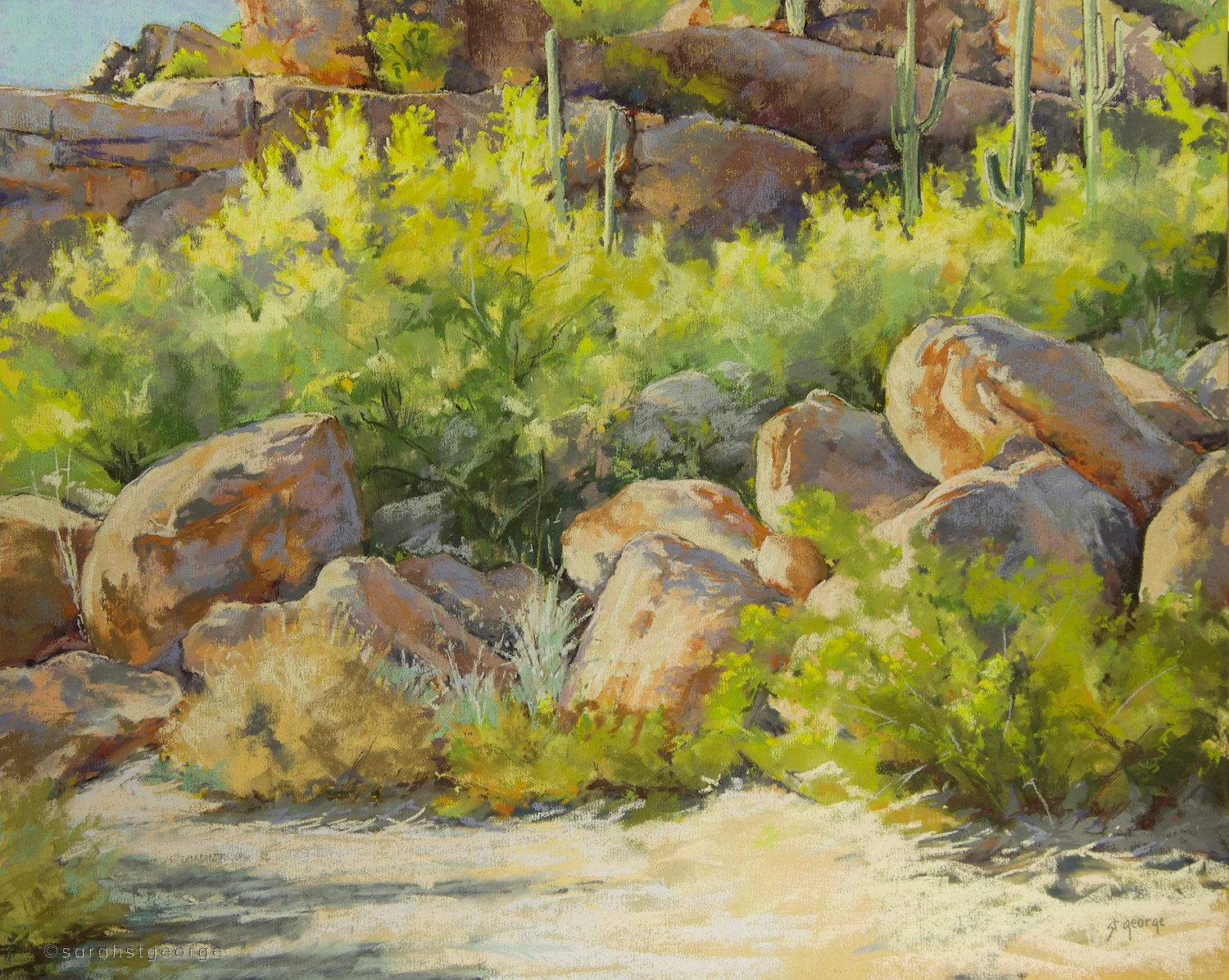 Palo Verdes