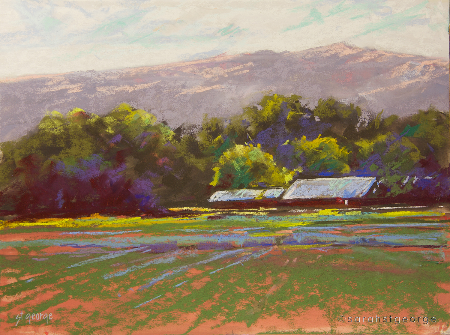 Electric Farm