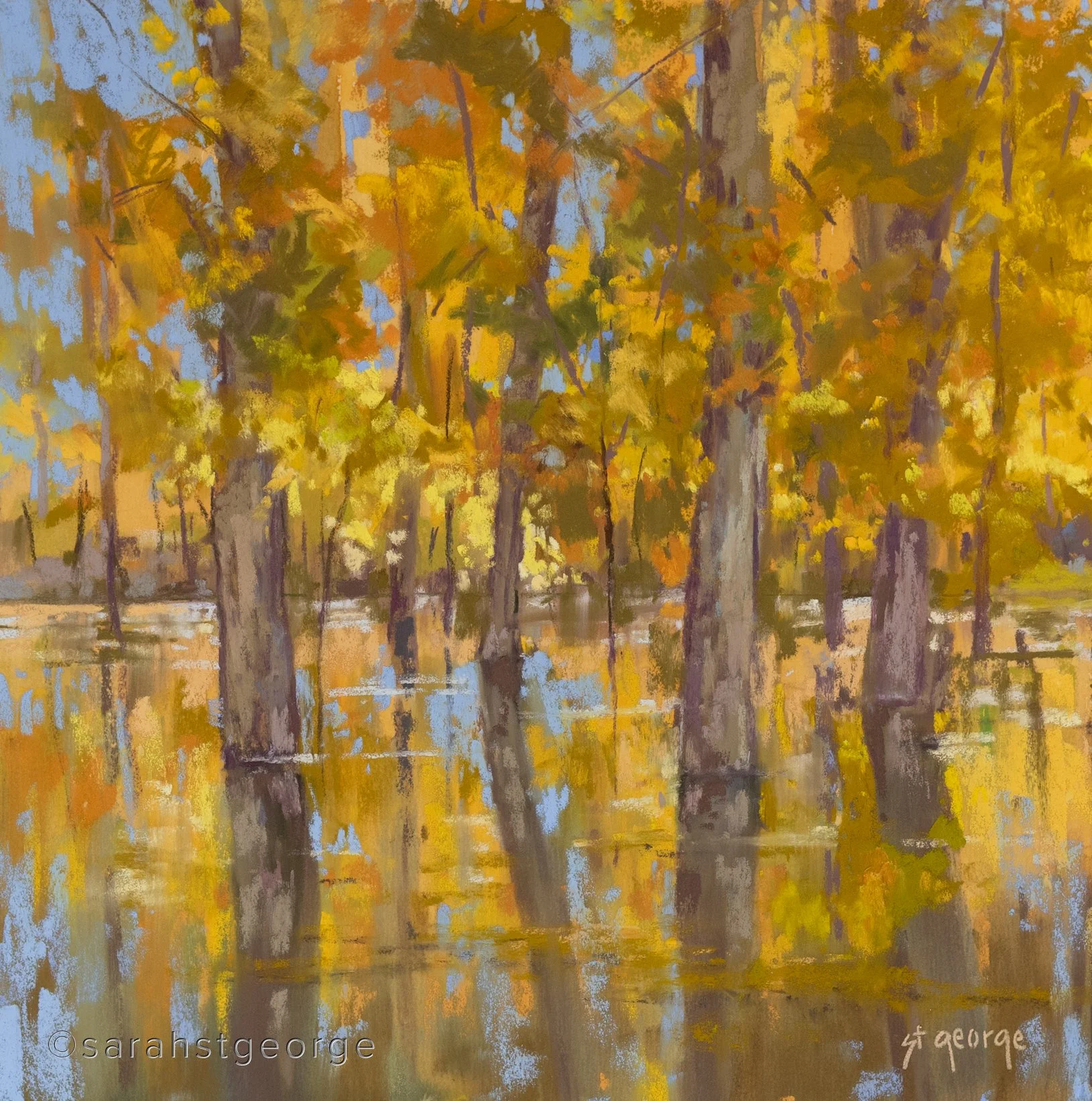 Swamped Cottonwoods