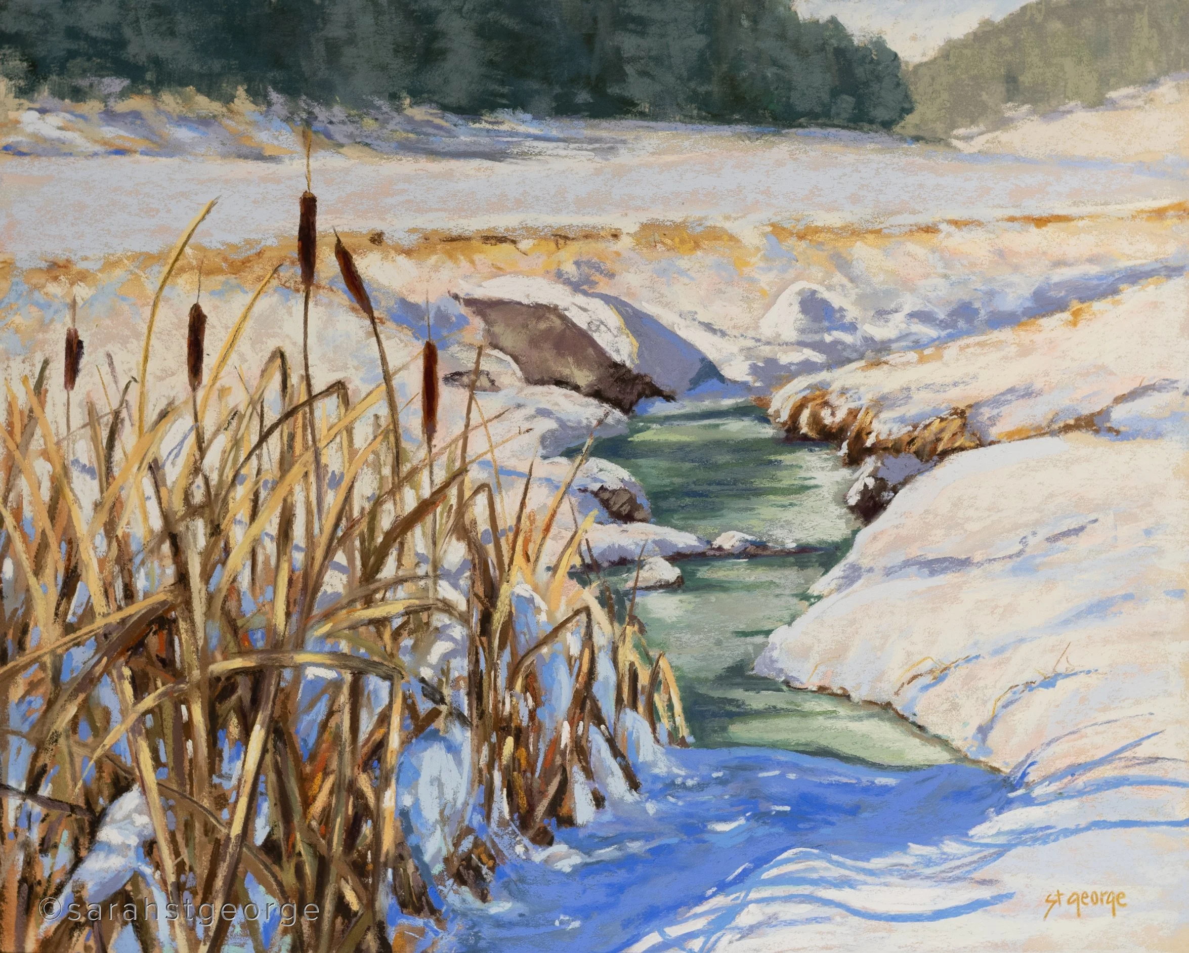 Winter Blanket