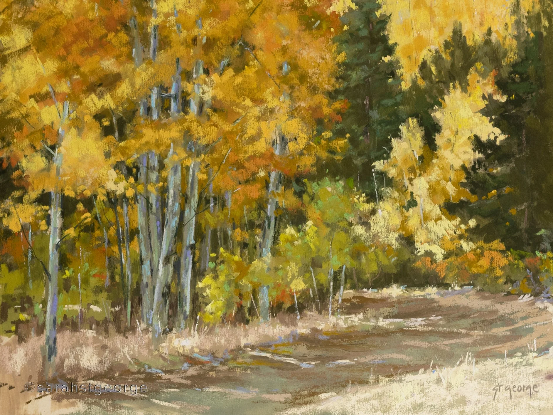An Autumn Walk