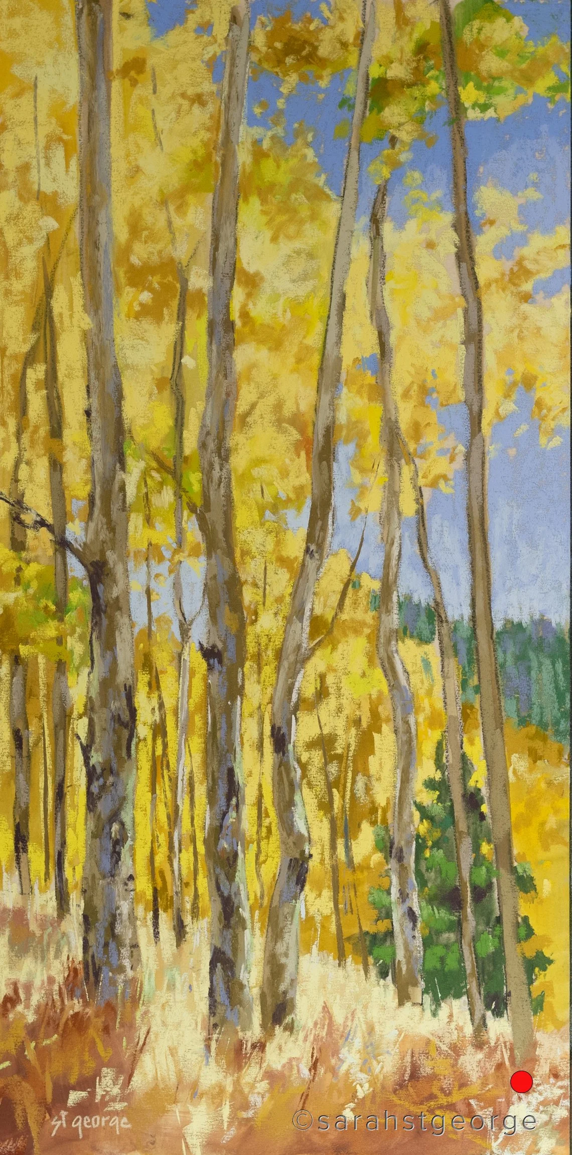 Looking Up - SOLD