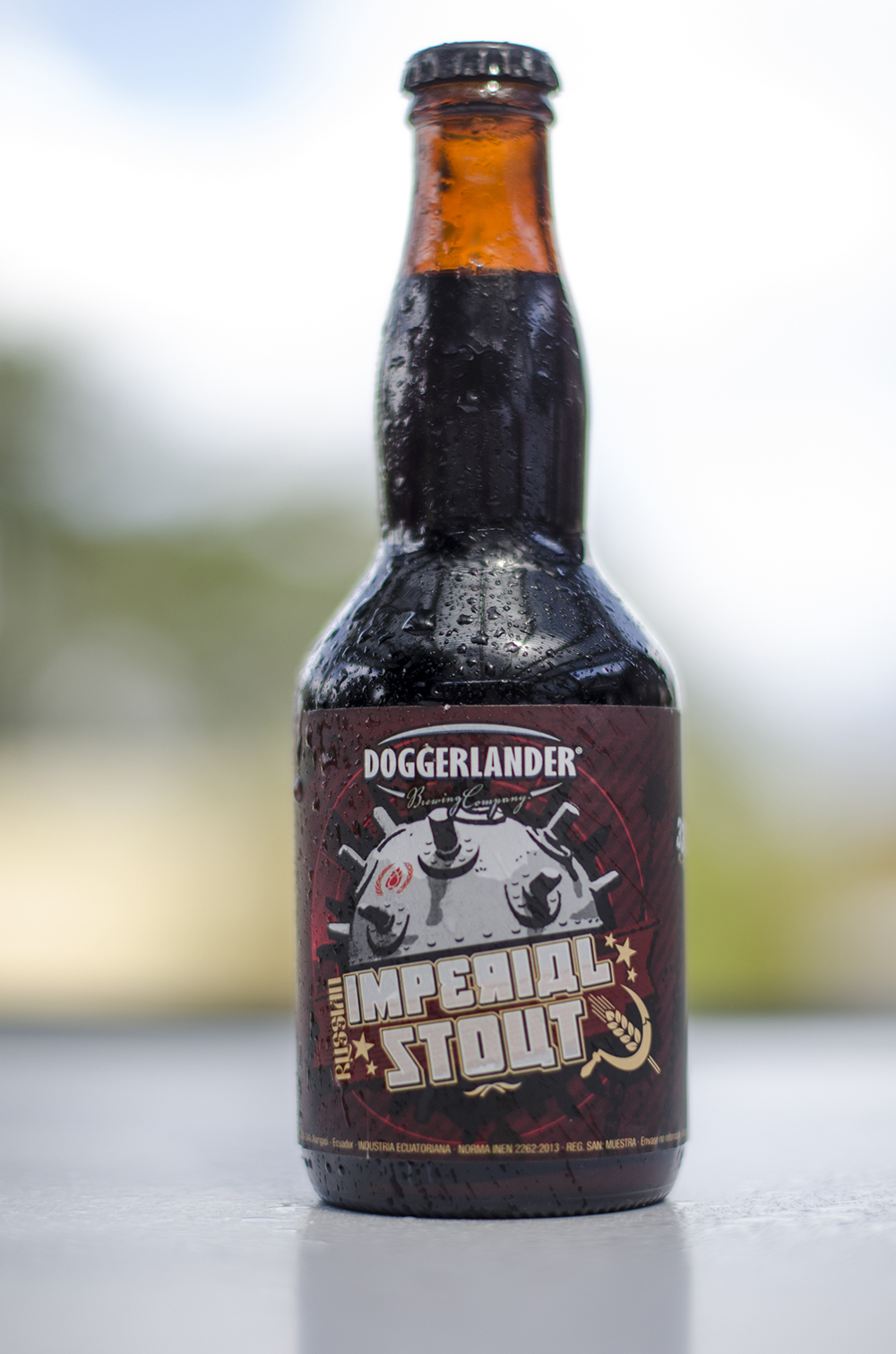 Doggerlander Russian Imperial Stout 10%