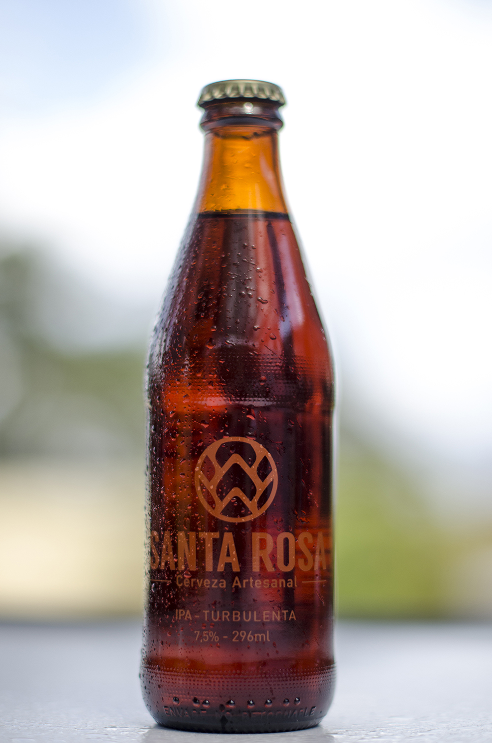 55 Cervecería - Santa Rosa IPA Turbulenta 7,5%