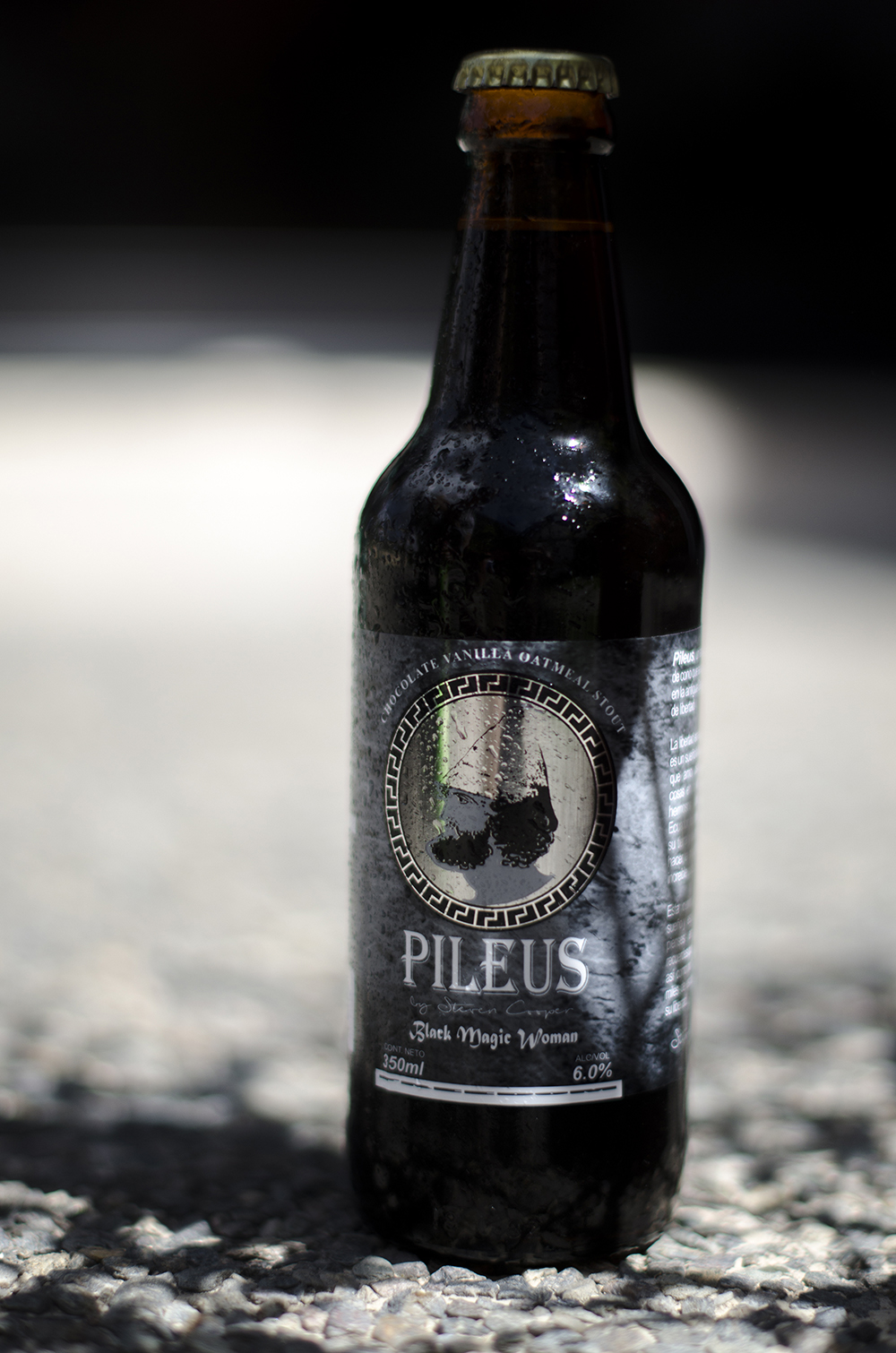 Pileus - Black Magic Woman Stout con Chocolate 6,3%