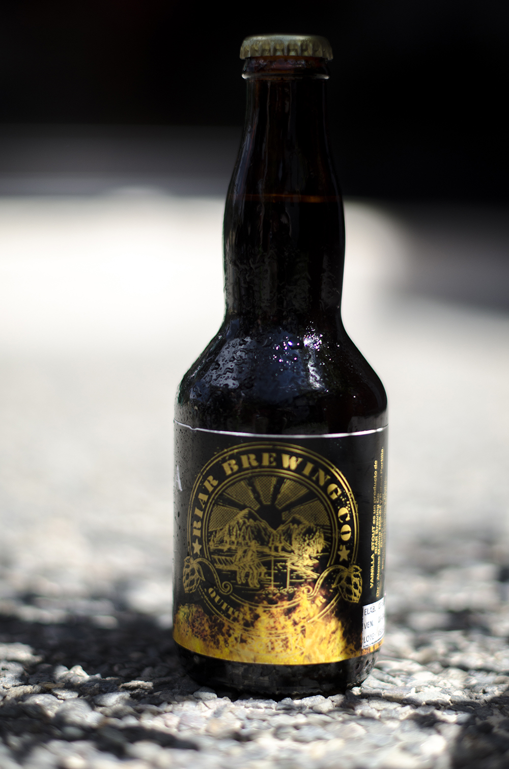 Riar Brewing Company Vanilla Stout 8,0 %