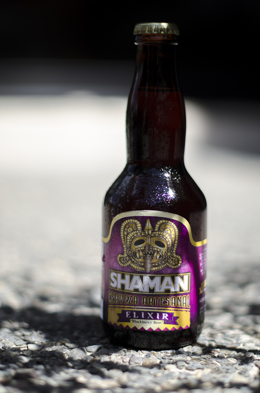 Shaman - Elixir Blackberry Beer 6,6%