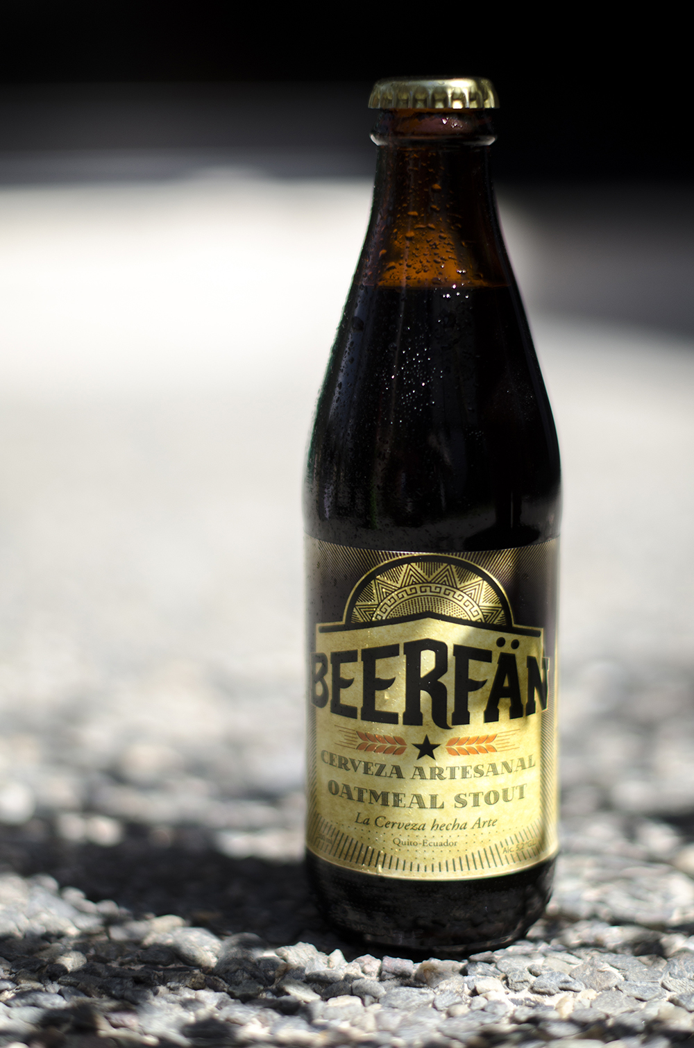 Beerfän Outmeal Stout 5,2%