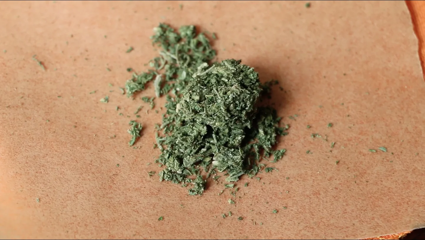 2 gramos de marihuana lista para prensar. Talleres THCity Foto: Marcelo Ayala