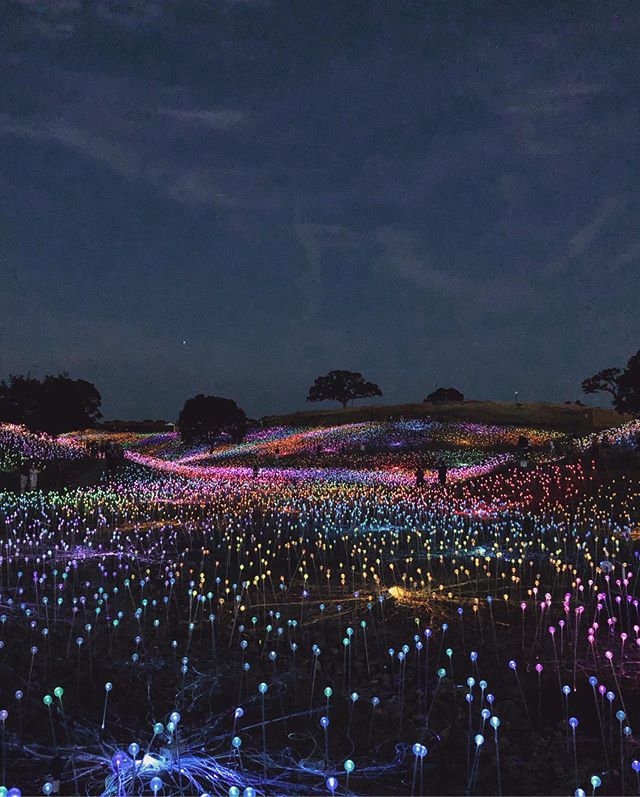 These photos make me feel such a sense of calm // this superbloom of light created as an installation called Sensorio was an incredible sight to behold. Each and every one of those blooms was slowly changing color, almost imperceptibly, a constant de