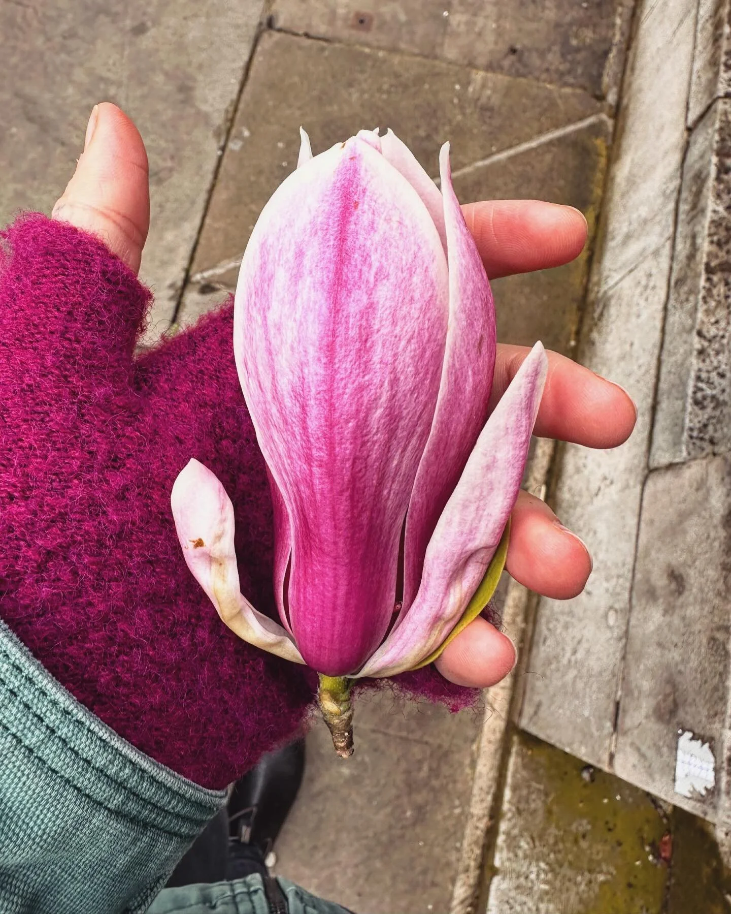 March was following symbols around London (Magnolia medicine, all the deities, Knight&rsquo;s Templar, Mary Magdalene). 🔱🌸🦉🪞♾️