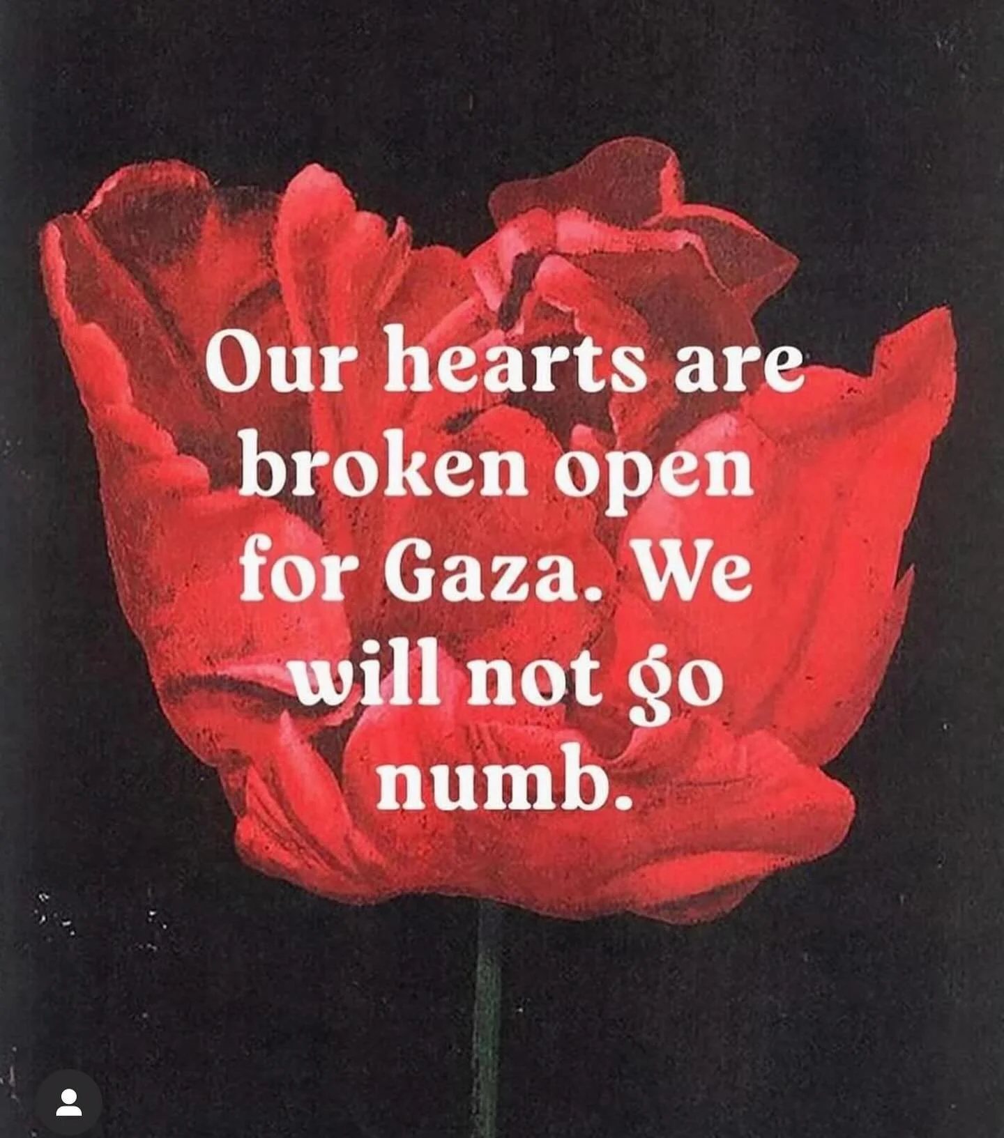 Images of headless children burned alive in their makeshift homes fill my unconscious and conscious mind. I can&rsquo;t even begin to imagine what the minds of starving traumatized wounded survivors must feel like. There are not the right words for t