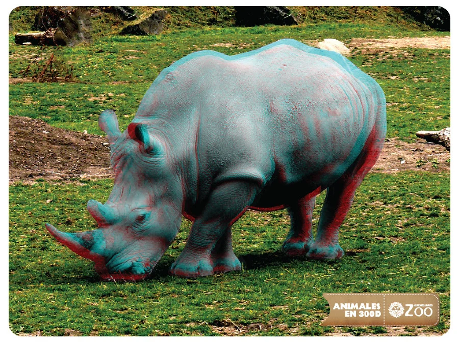 ZOO 03_900.jpg