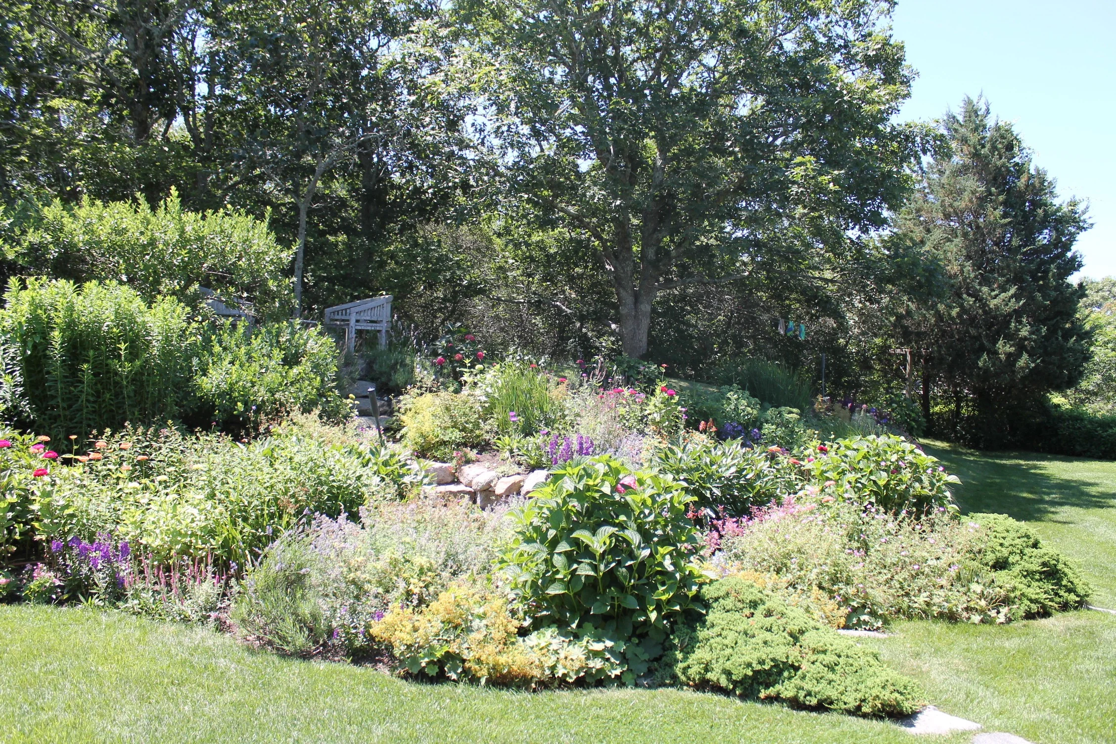IMG_1555.jpg