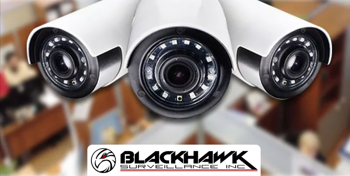 Security Cameras.png