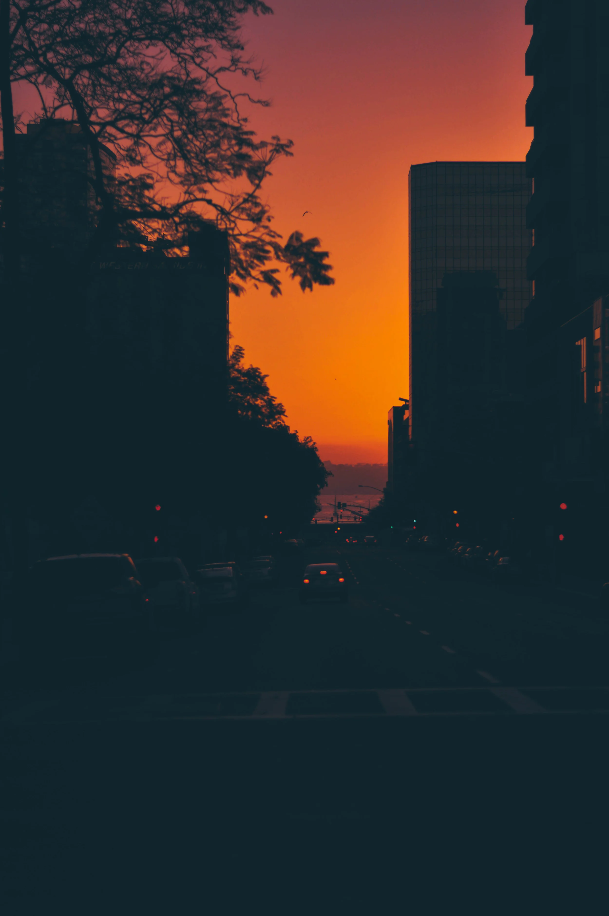 into the sunset 2 copy.JPG