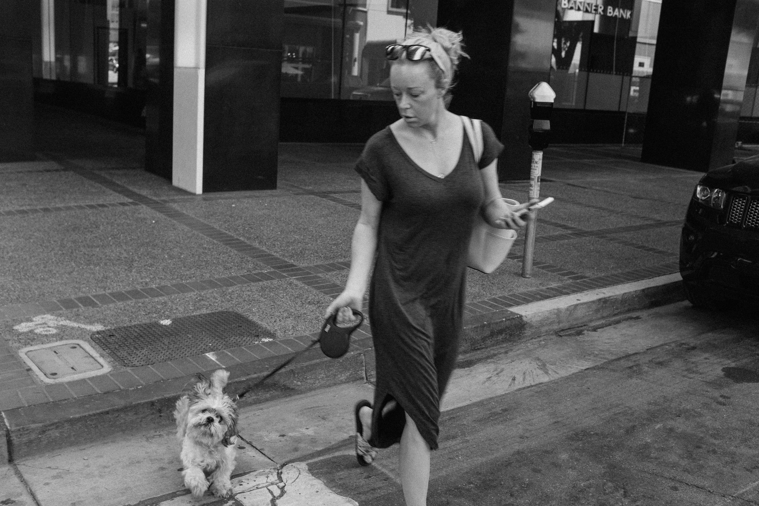 PEEP THE DOG.JPG