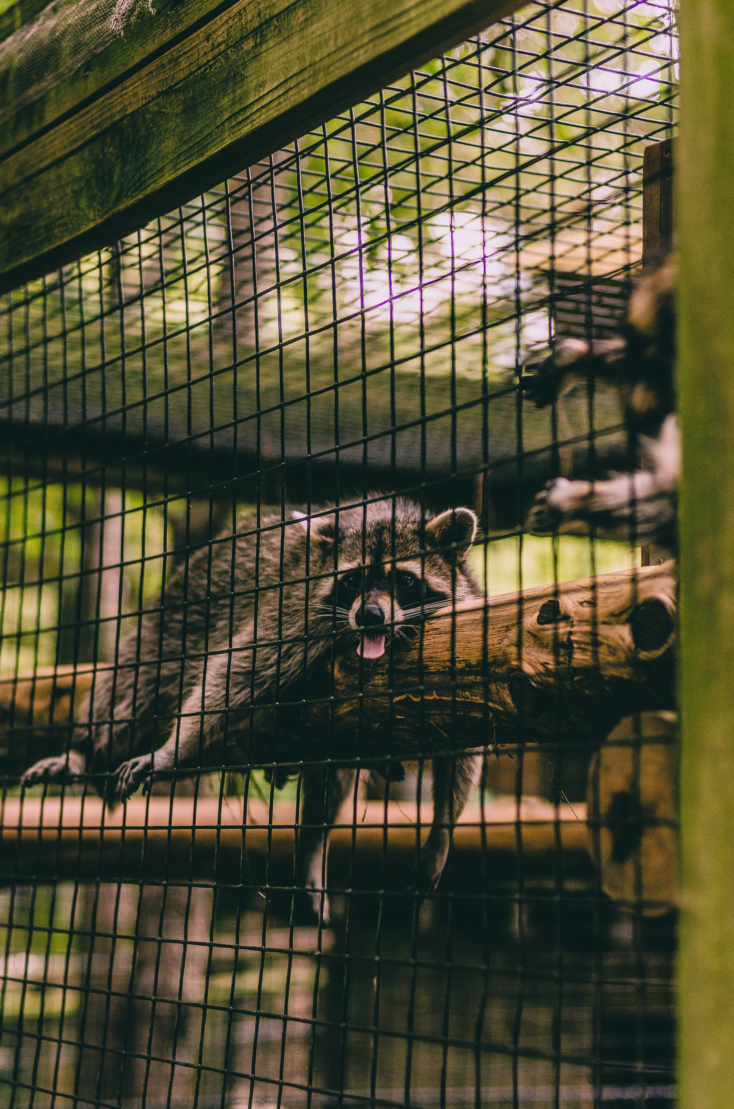 Houston ZOO-1-57.jpg