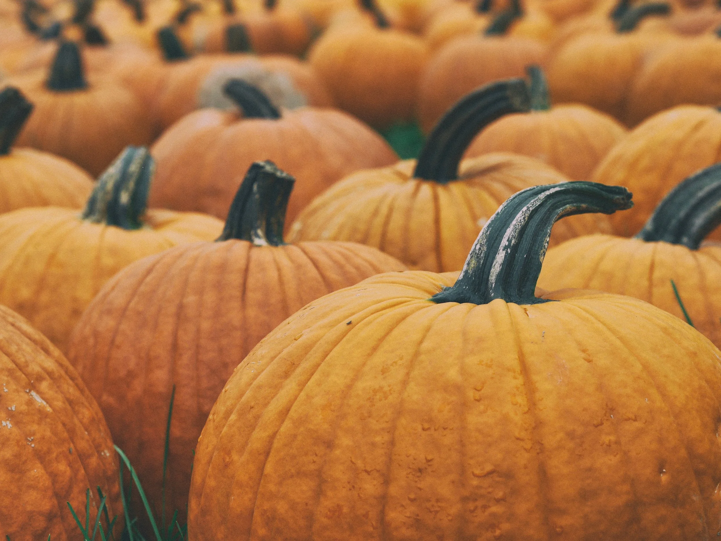Be Safe on Halloween:   Tips to Keep Your Kids Safe