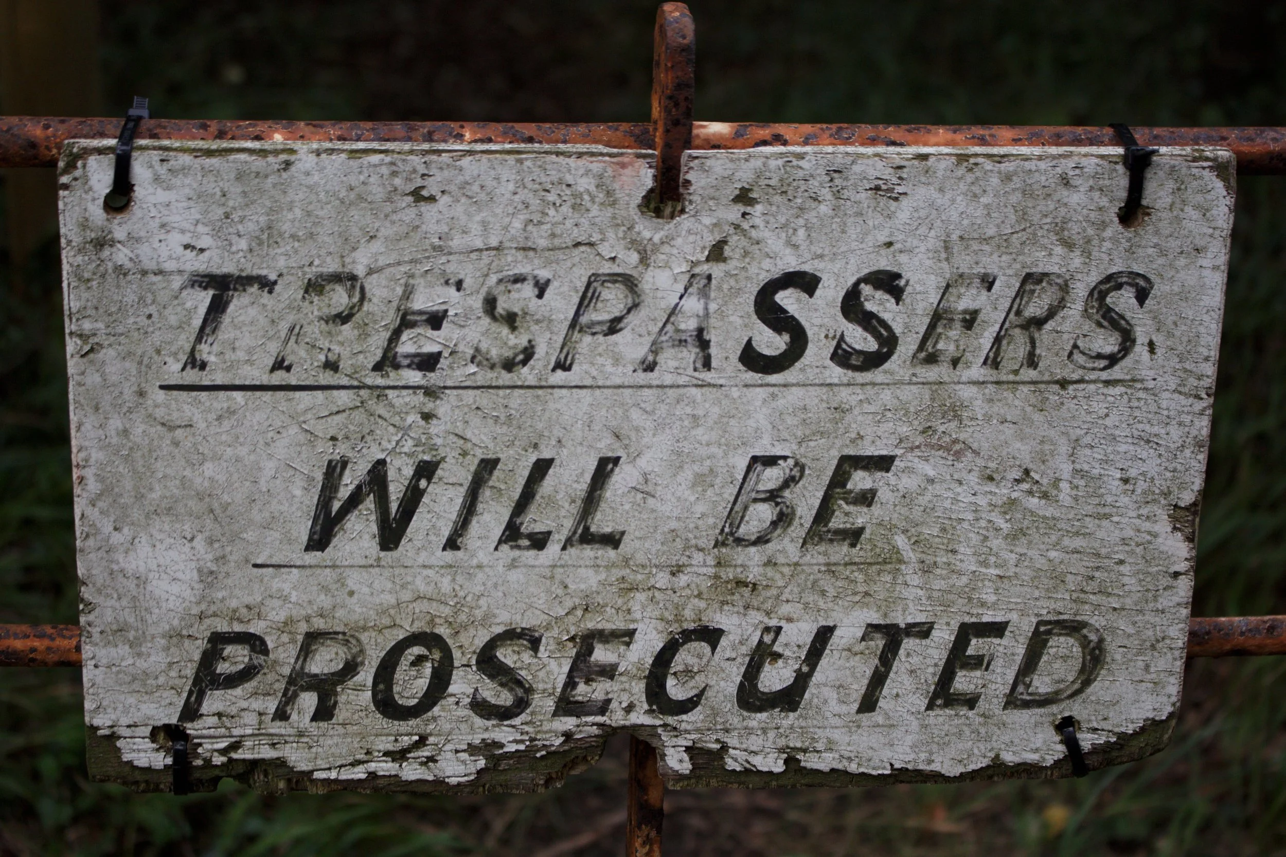 Can you sue the Delivery Company or Driver's Employer for Trespassing Into your Home?