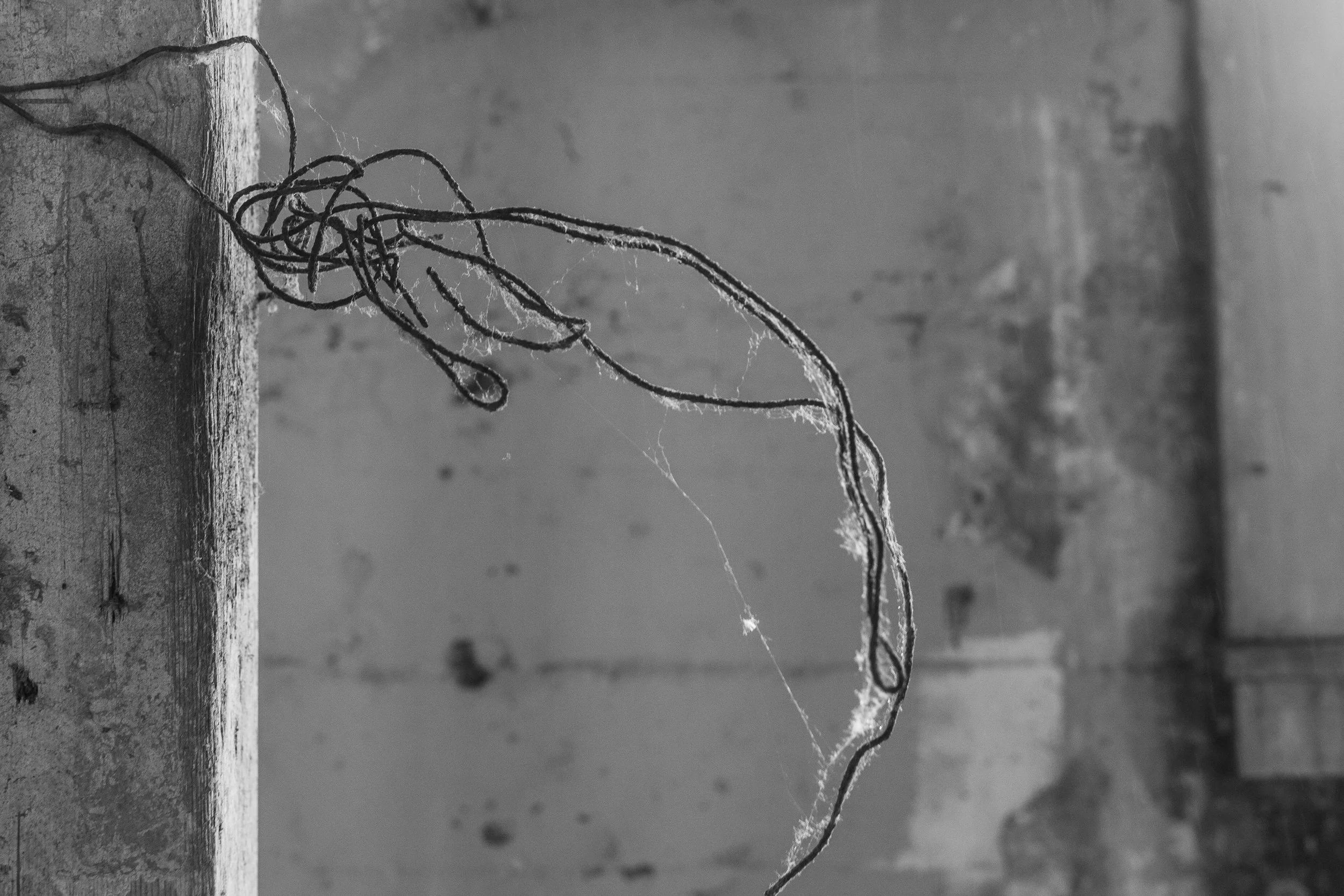 Oregon State Hospital Whistleblowers Warn of Preventable Deaths and Ongoing Patient Safety Failures