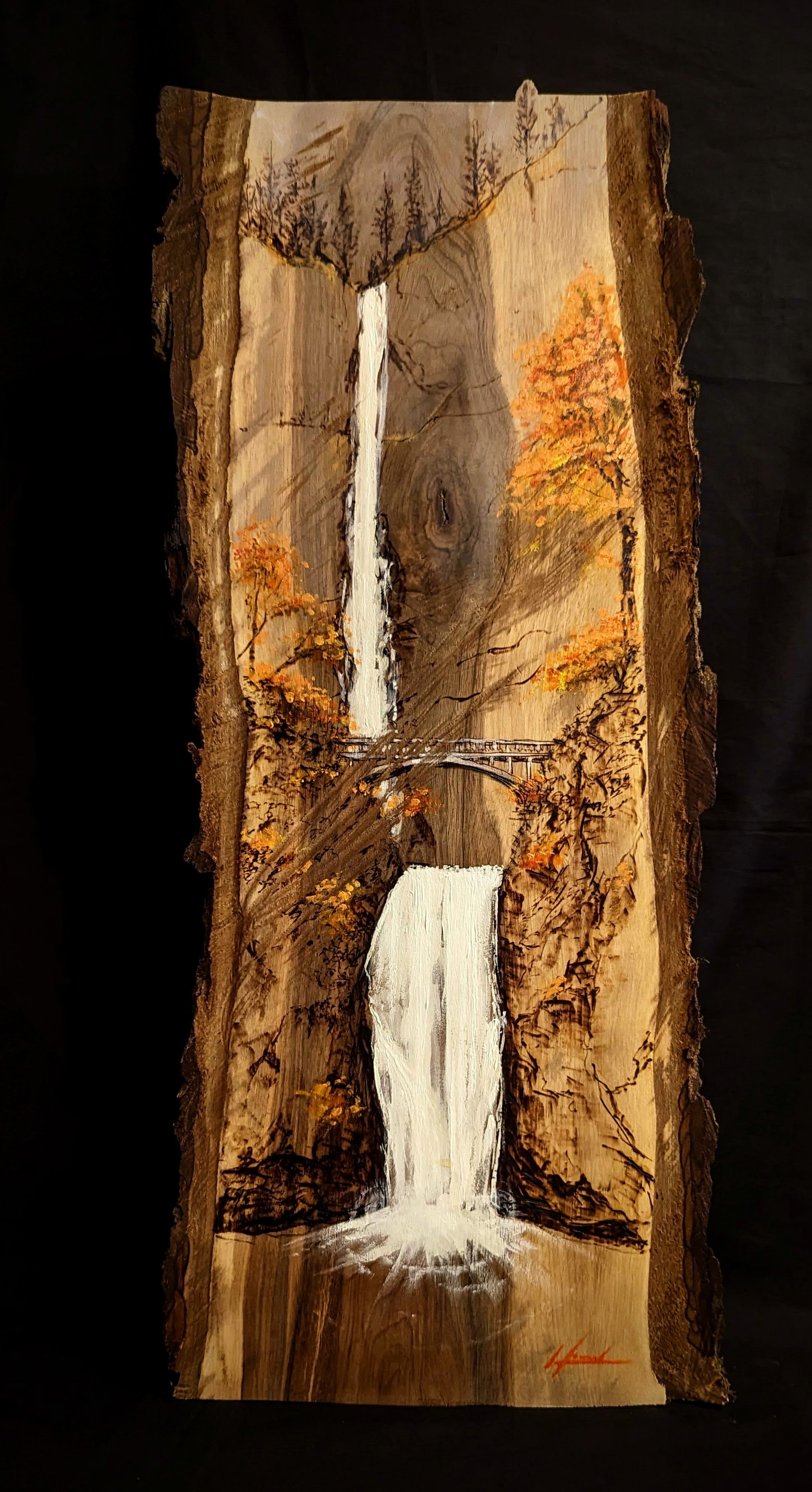 Fall at the Falls 12"x 32" SOLD