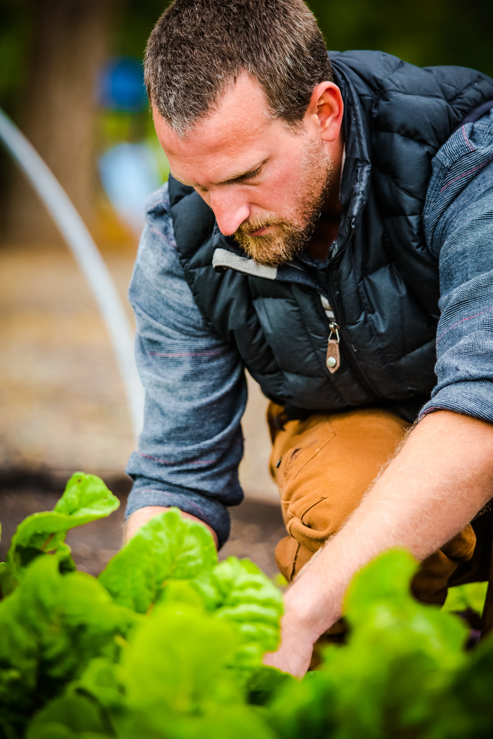 Rooted Gypsy Farms - Grand Junction, Colorado