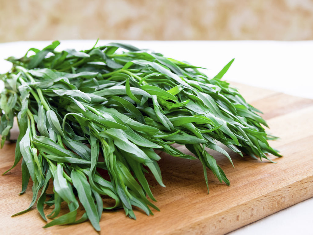 Tarragon is a beautiful perennial that makes a great companion plant in your garden. Tarragon also comes in nonculinary varieties so make sure you select “French Tarragon”.