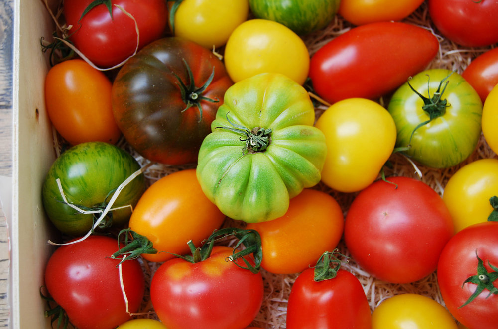 tomatoes+-+heirloom+2018+web.jpg