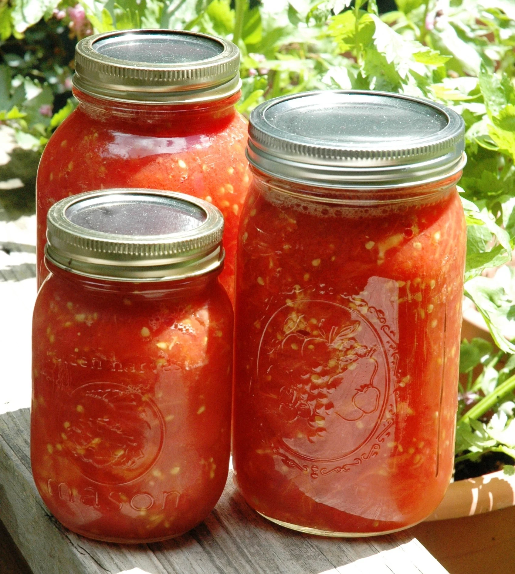 canned-tomatoes1.jpg