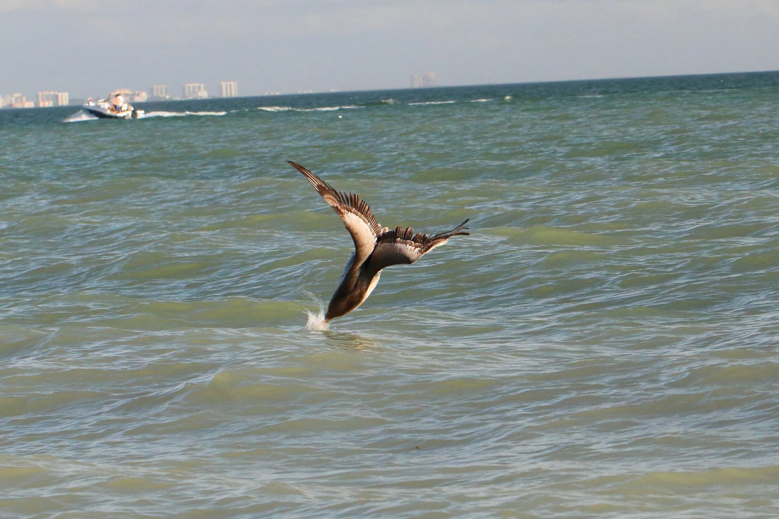IMG_2139.JPG