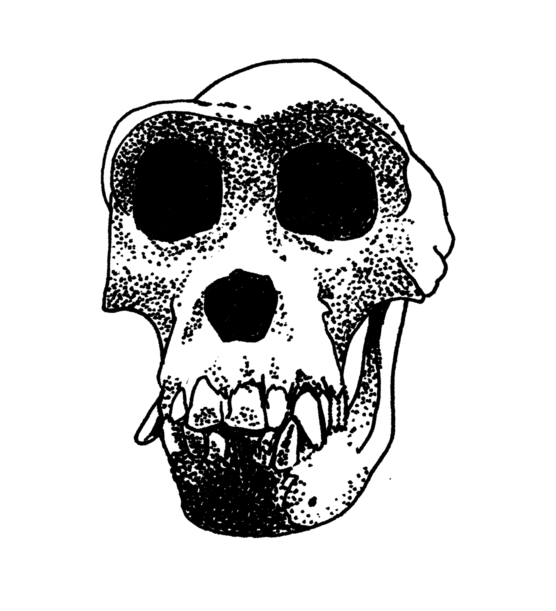 skulls_0000_Layer-Comp-1 copy.png