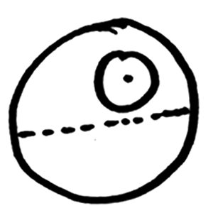 fff.gif