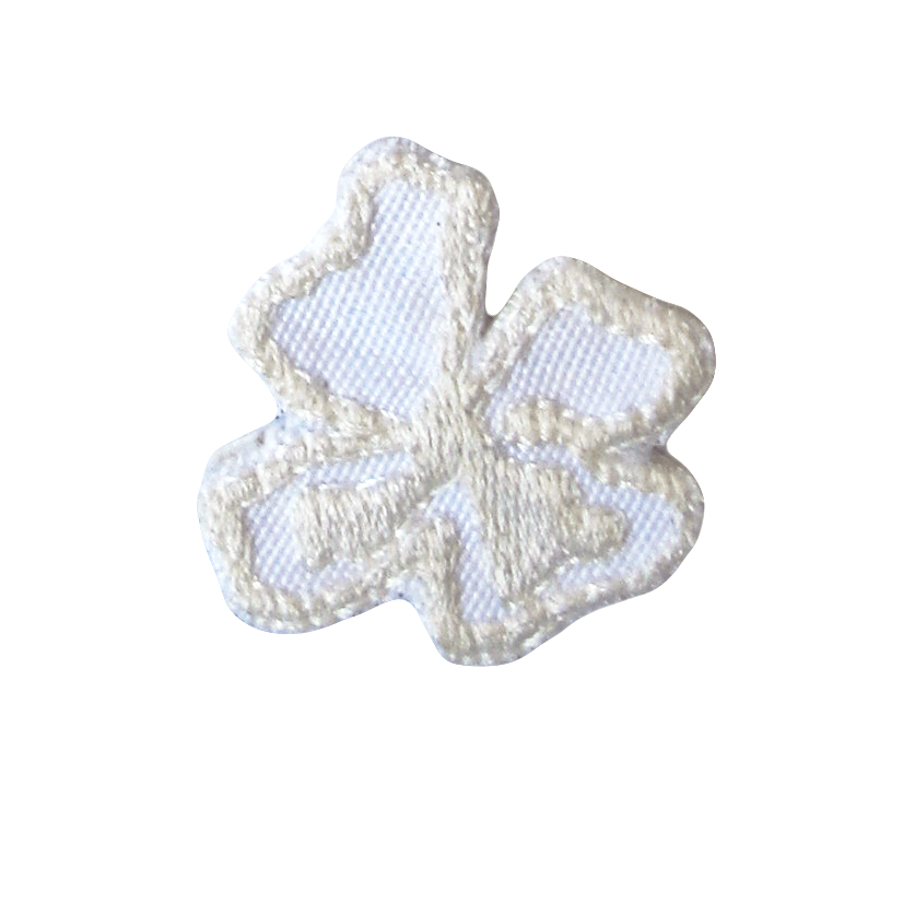 small-white-patch-transparent.gif
