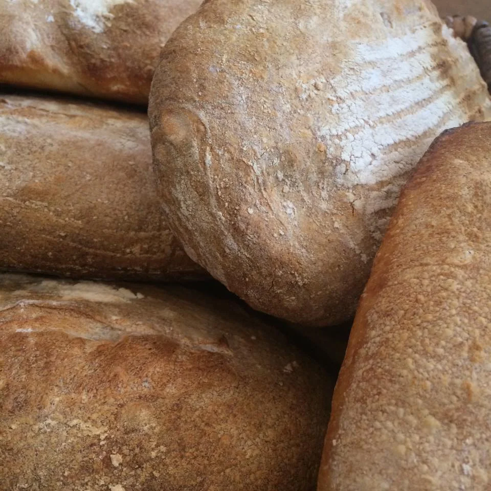  bakery 