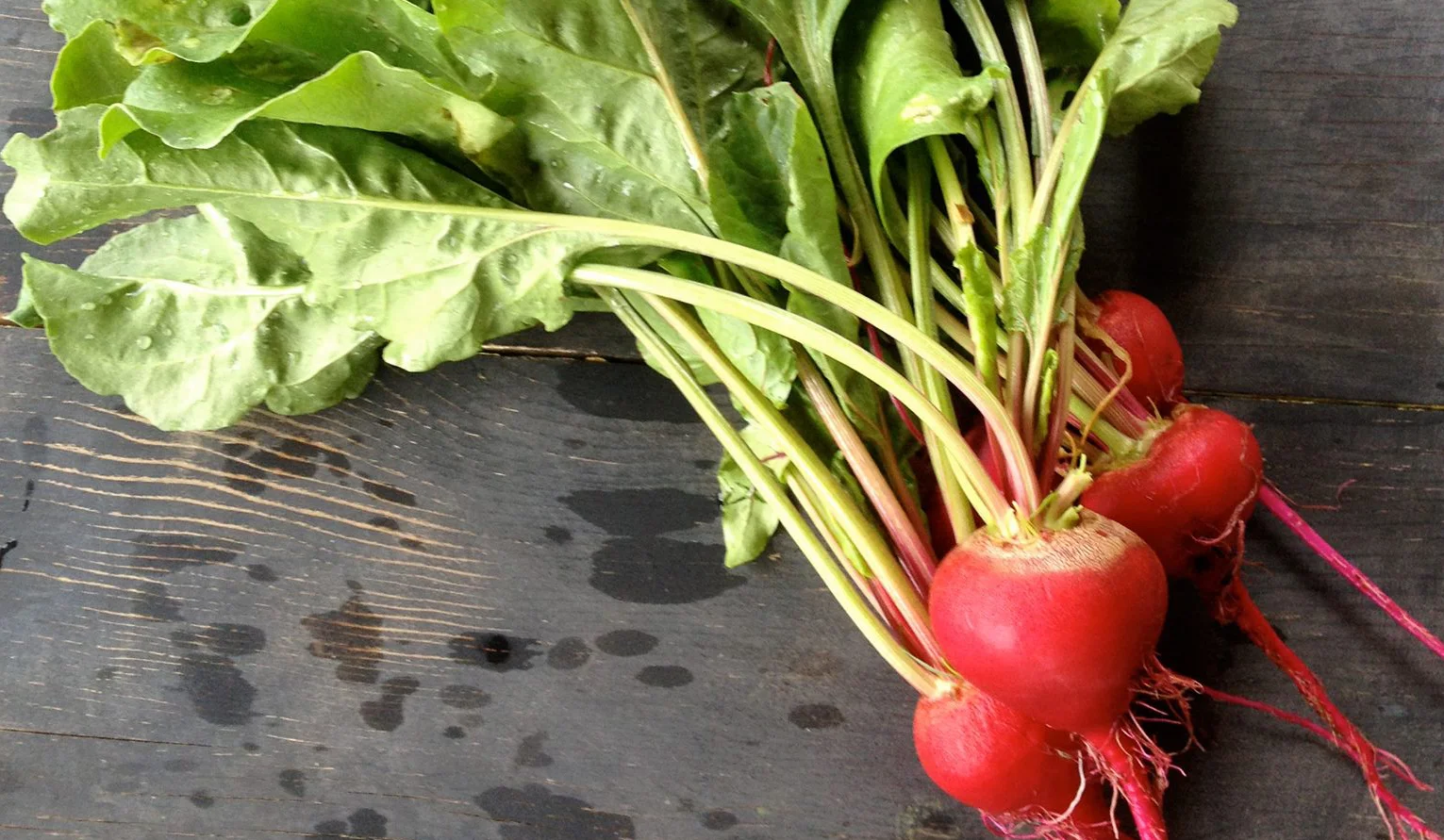 radishes.jpg