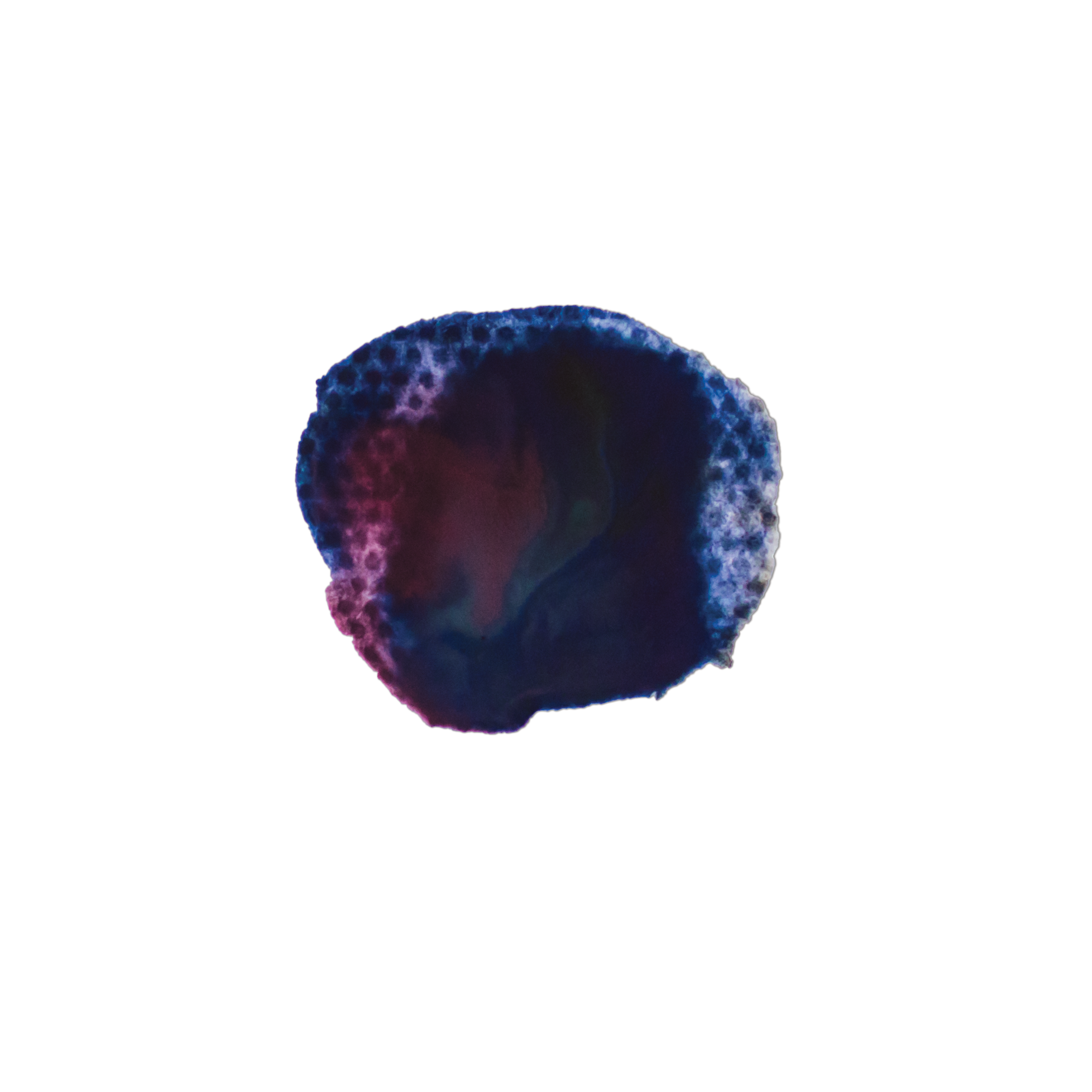 Bruise x7.png