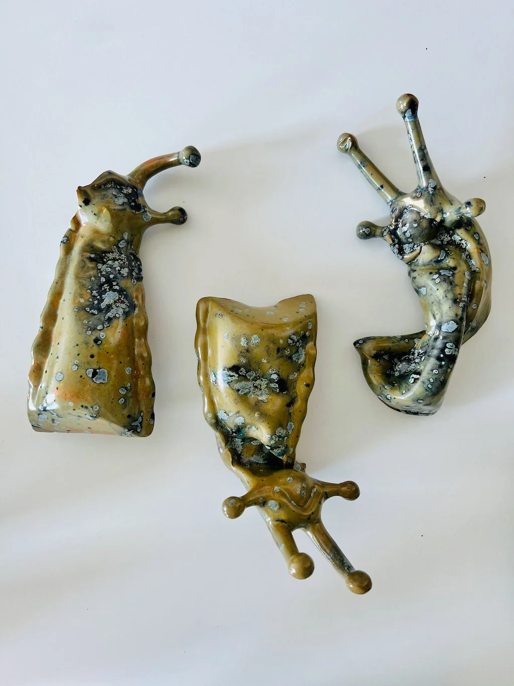 Milne_slugs 2024.jpeg