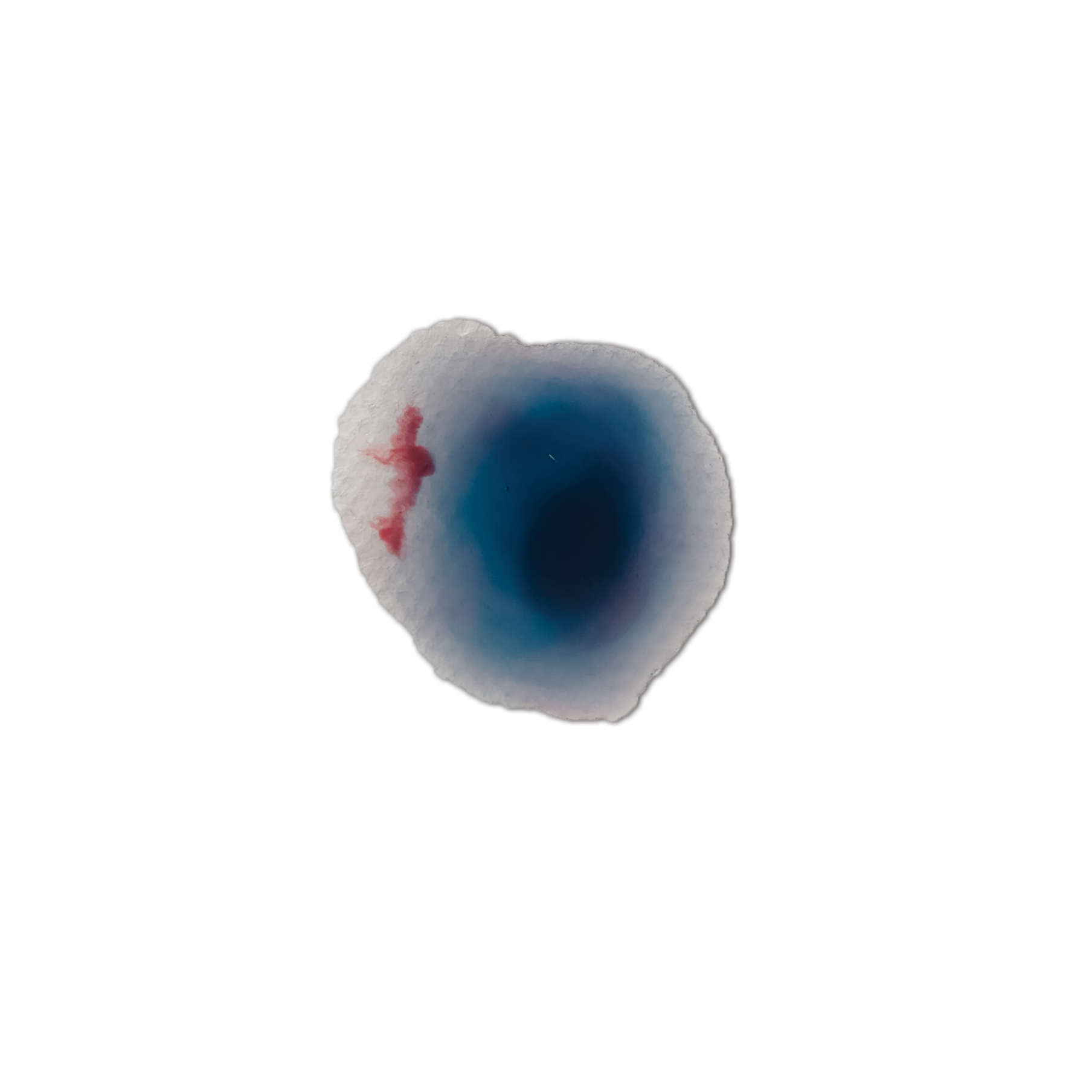 Bruise 31.png