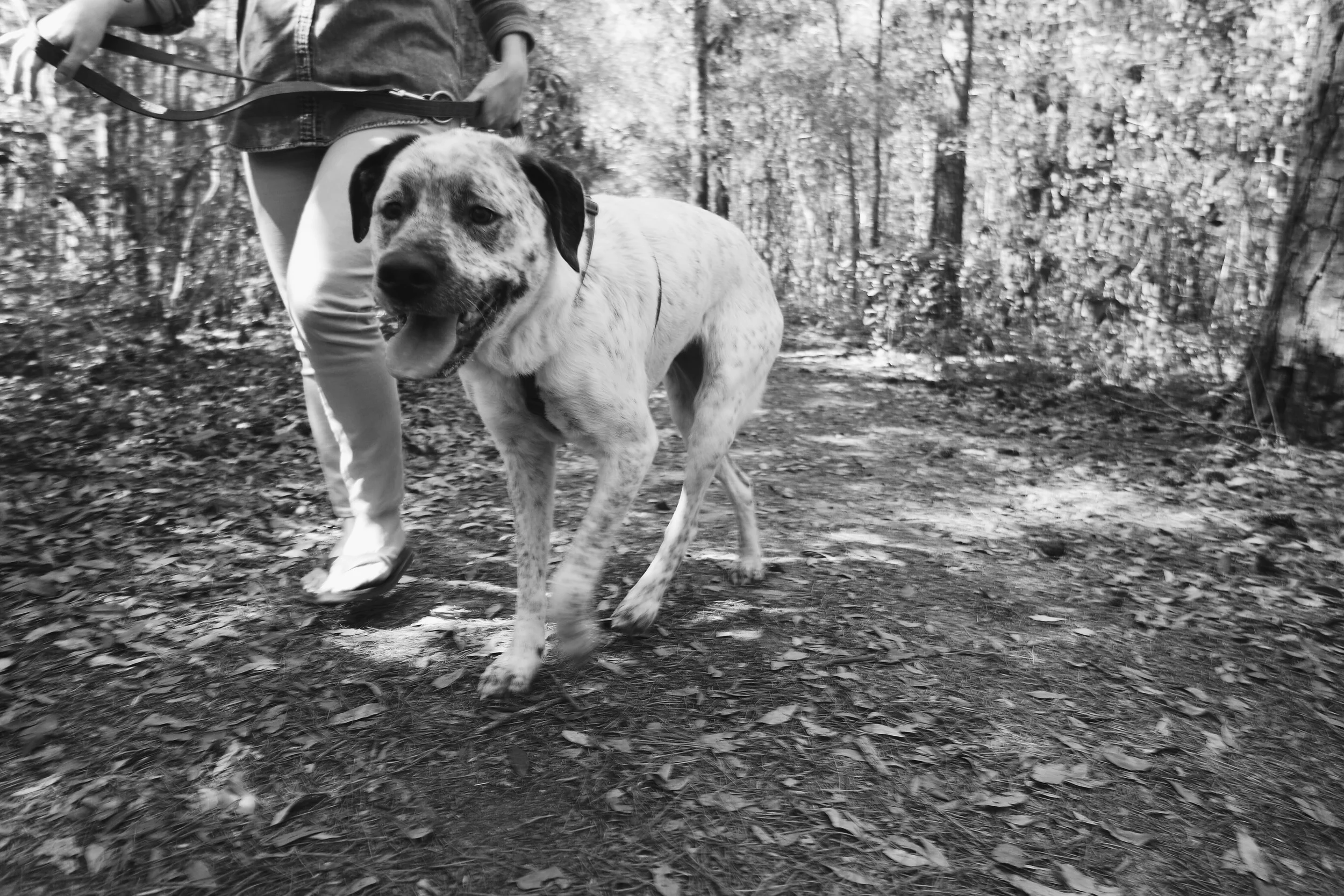 LET THEM HOLD THE CAMERA